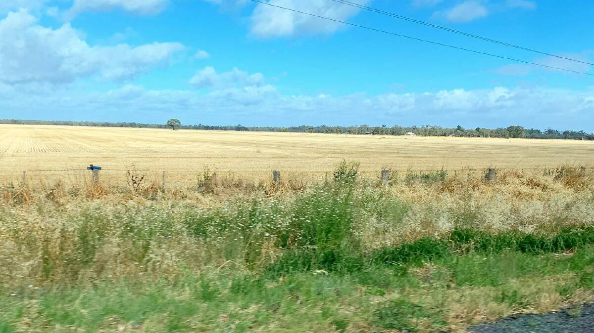 SUNSHINE: While the temperature is all over the place this week, it will be dry for harvest. Picture: ALISON FOLETTA