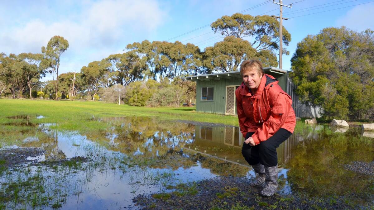 LAKE HAVEN: The rainwater has left the Haven market out to dry as market co-ordinator, Sue Exell, cancels August market. Picture: ALISON FOLETTA