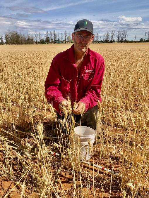 DRY MARCH: Assessor Marty Colbert says much of the north-west will again be dry sown, after low rainfall in March.