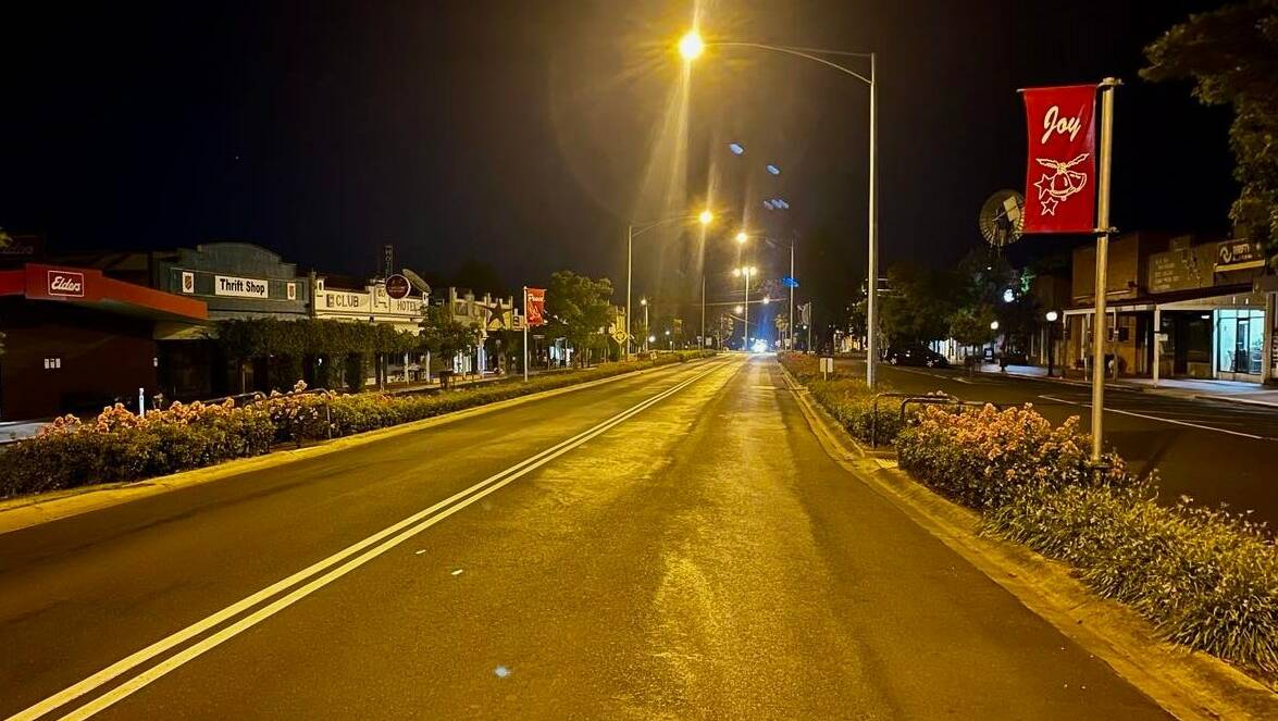 LIGHTS ON: KDPA are appealing to community groups and members to help brighten the street with commercial quality solar fairy lights for four main trees. Picture: CONTRIBUTED