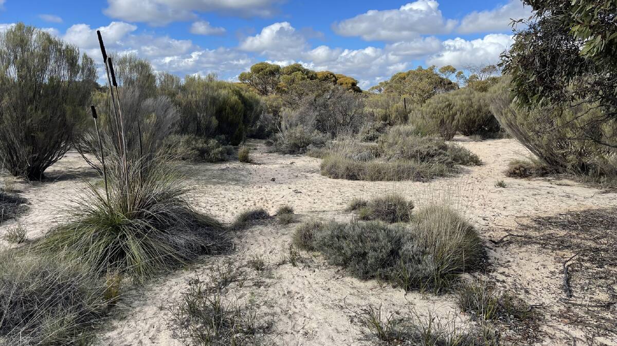SAFE HAVEN: The Telopea Downs property was chosen due to its proximity with the Big Desert National Park. Picture: CONTRIBUTED