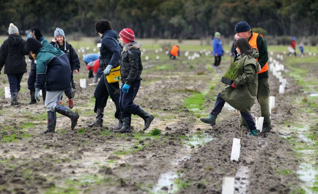 LANDCARE: Volunteers planting trees on a muddy day. Picture: CONTRIBUTED