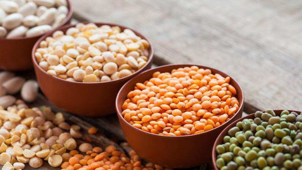 PULSES: Much of Victoria's pulse market growth has been a result of increasing plant protein demand. Picture: FILE