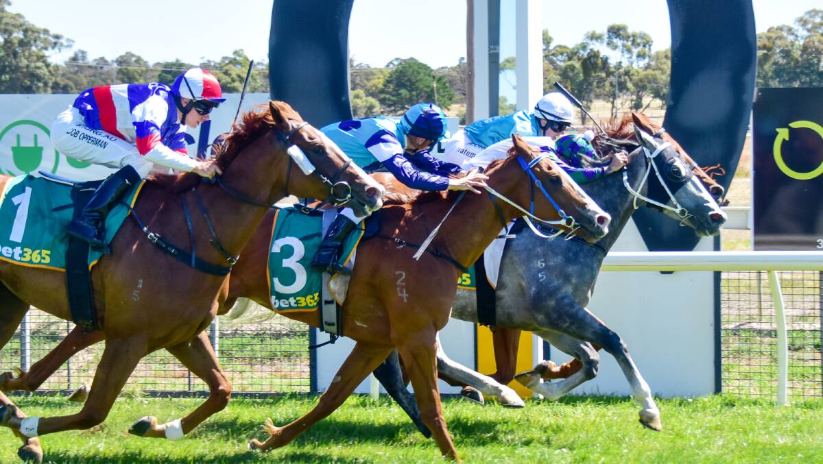 WINNER: Toolbar, ridden by Dean Holland took out the Halls Gap Cup in 2021. Picture: BRENDAN MCCARTHY/RACING PHOTOS