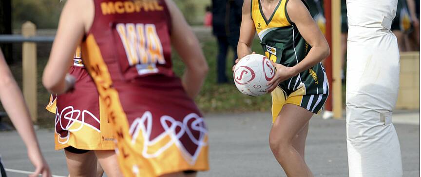 TALENT: The HDFNL have named three strong junior interleague netball sides. Picture: FILE