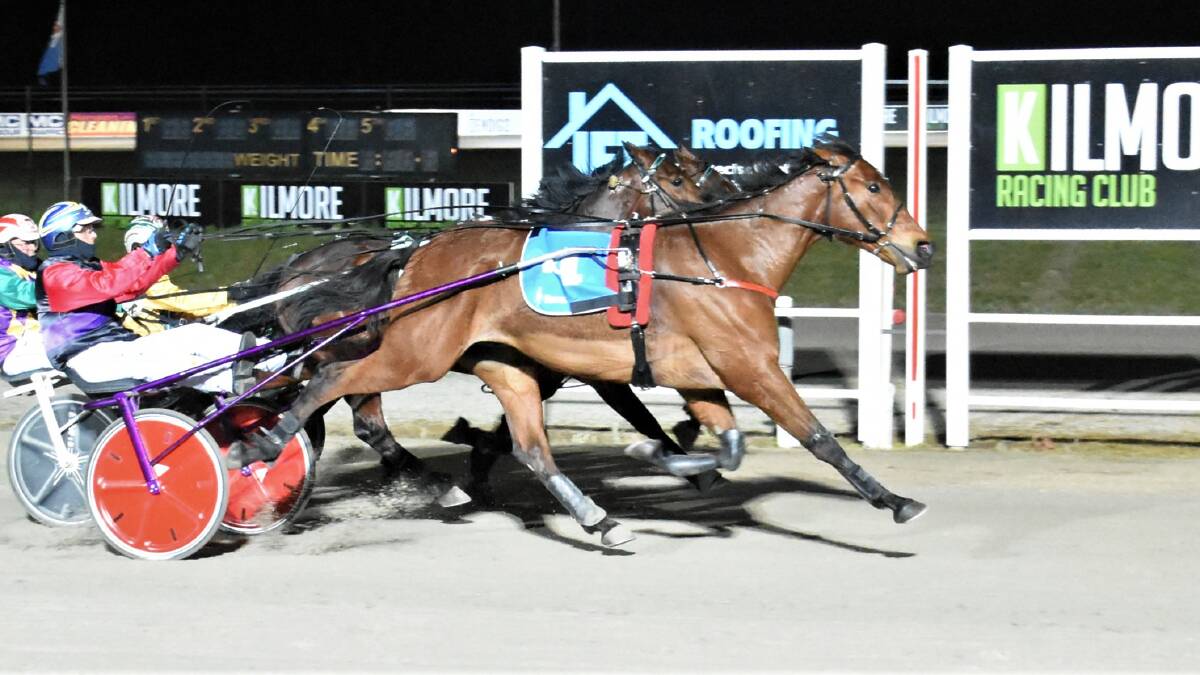 WINNER: Stawell owned and trained gelding The Penny Drops heads into the final of the Inter Dominion Trotting Championship as favourite. Picture: CLAIRE WESTON PHOTOGRAPHY