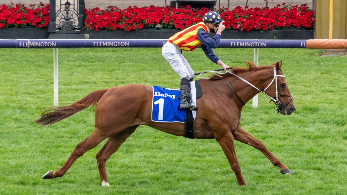 FLYING: Nature Strip, which is part-owned by five Horsham residents, won the Group One Darley Sprint Classic at Flemington on Saturday. Picture: JAY TOWN/RACING PHOTOS