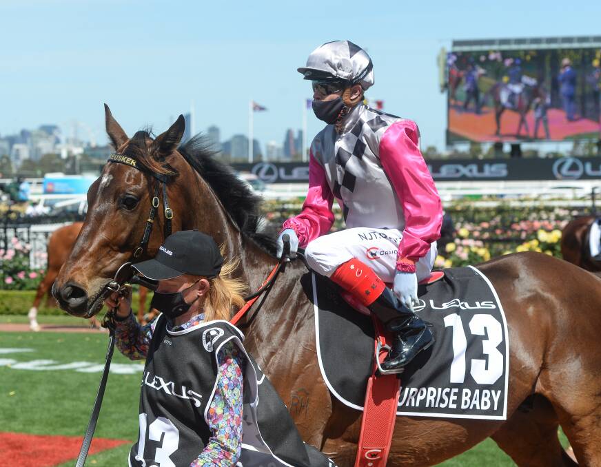 STAR: Surprise Baby, pictured in 2020, has enjoyed a successful career, including two Melbourne Cup runs. Picture: RACING PHOTOS