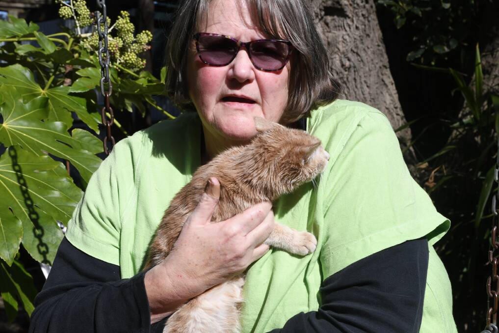 FUNDING: Horsham PAWS president Vicki Johnstone said the funding would be used for a Pause on PAWS program to de-sex female and male cats in Yarriambiack and Horsham. Picture: NICK RIDLEY