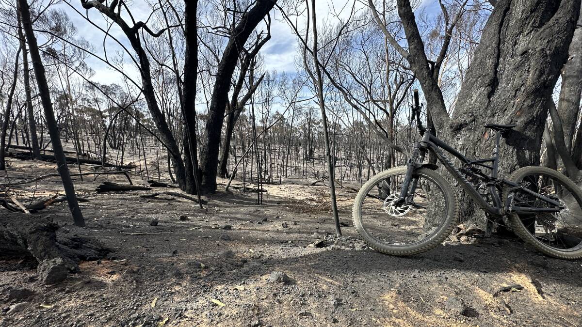 Resident Matt Dalkin shares the view from Tunnel Road, Pomonal days after a bushfire raged through the region. Picture supplied