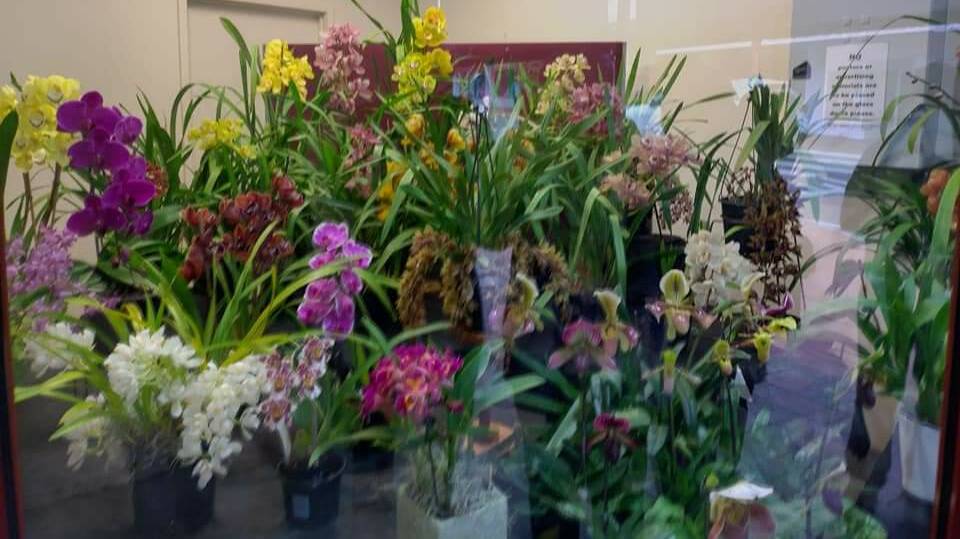 The Stawell Orchid Society Spring Show runs from Friday, September 29 to Sunday, October 1. File picture