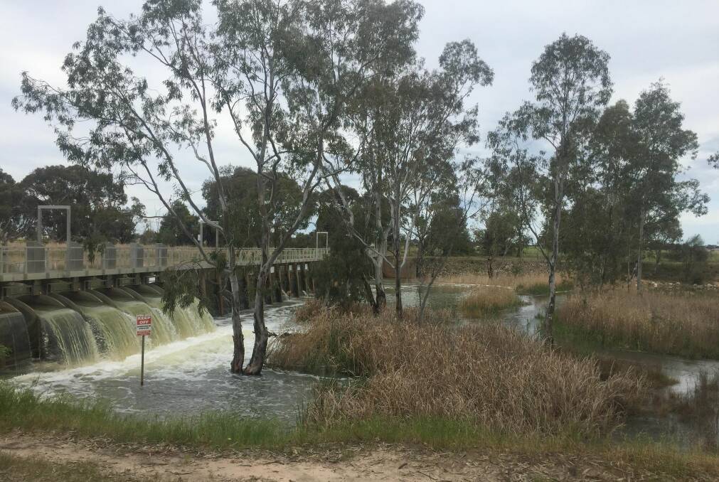 The boardwalk near the Horsham weir has been flooded. Picture: ALEX DARLING