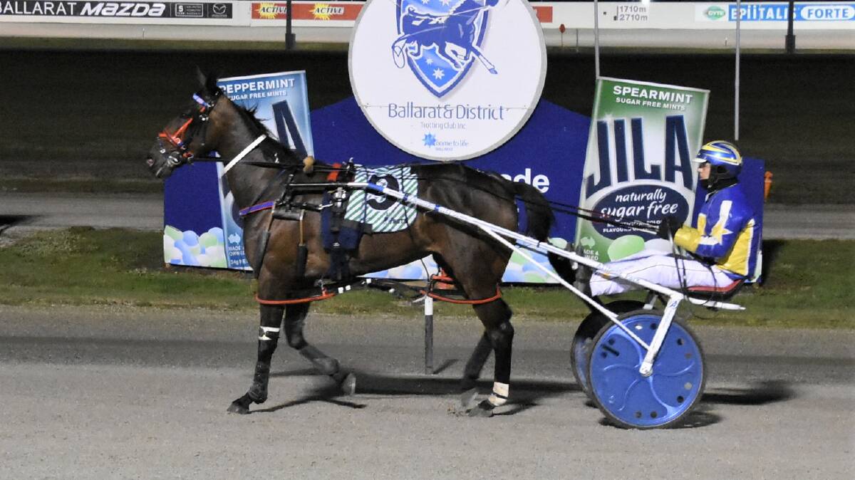 ACTION: Great Western trainer/driver Grant Campbell brings Onthecrestofawave back for the steward's "all-clear" after an impressive victory at Ballarat on Saturday night. Picture: Claire Weston Photography