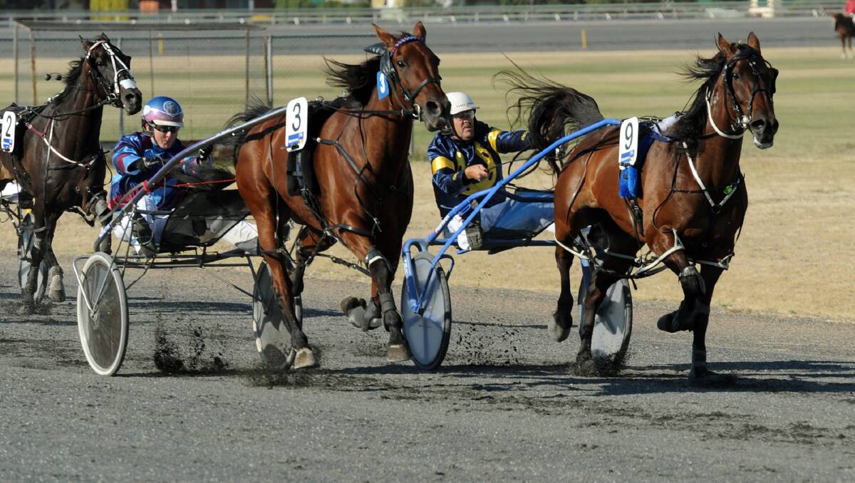 Horsham Harness Racing Club Thrilled With Nominations For Pacing Cup The Wimmera Mail Times