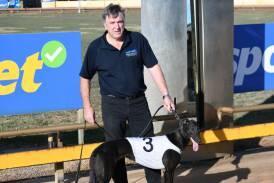 Garry George's Moonlight Grand ran a dead heat with Genesis Bale at the Horsham Greyhound Racing Club. Picture by Peter Carter