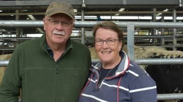 Rob and MIranda Gill, Limestone, sold cows and calves, prior to taking three months off for travelling within Australia.