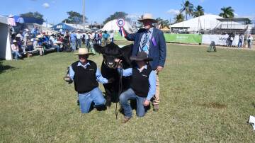 Matt Cooney, Cann Valley Cattle Co, (left) with the Grand Champion Lowline Bull, Cann Valley The Big Bang, with judge Graham Brown and parader Carlie Macklemann. Picture: Judith Maizey